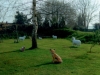 animal-statues-2